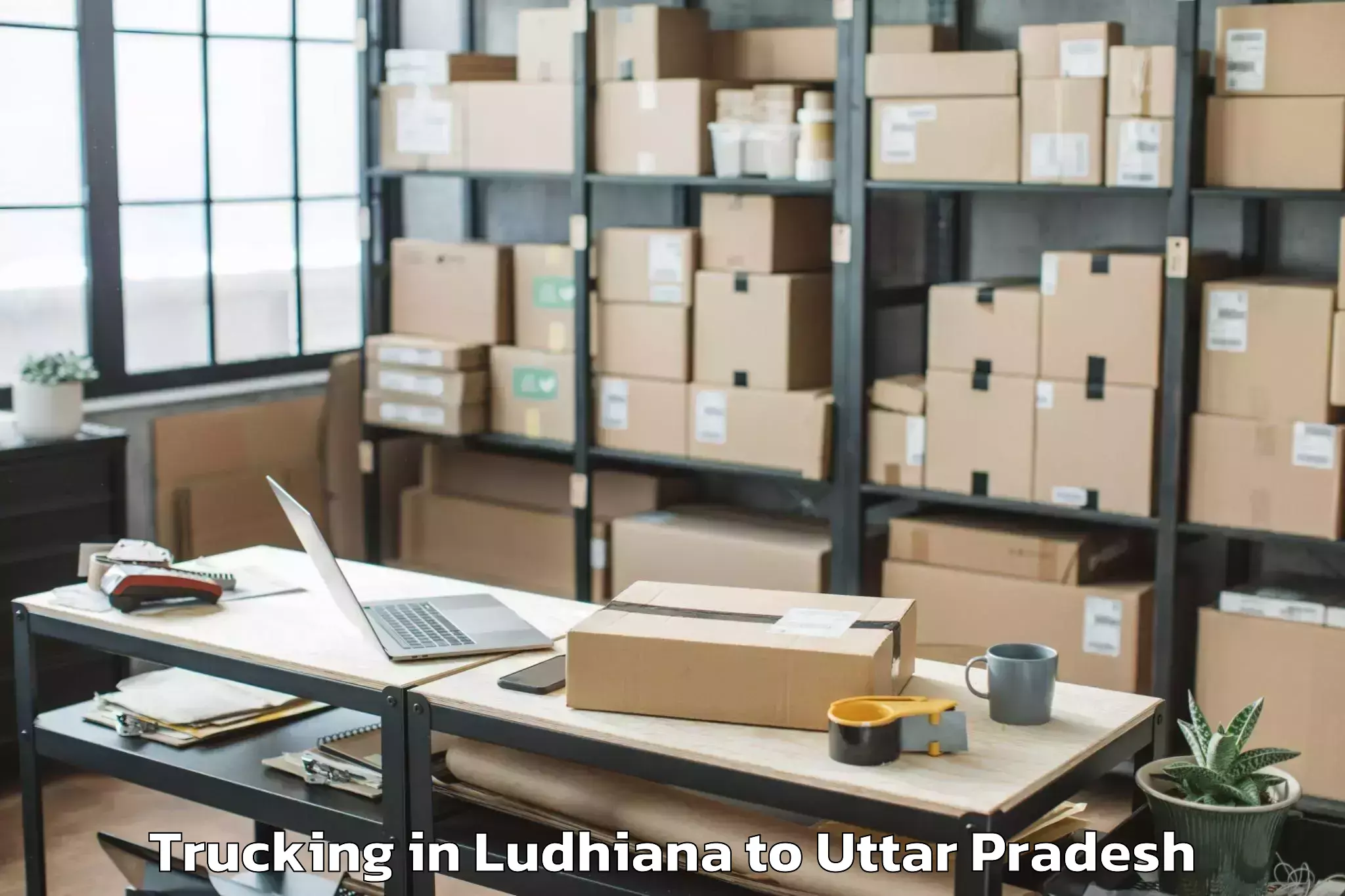 Easy Ludhiana to Konch Trucking Booking